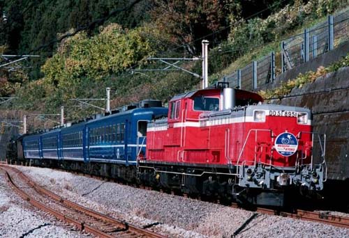510895bura