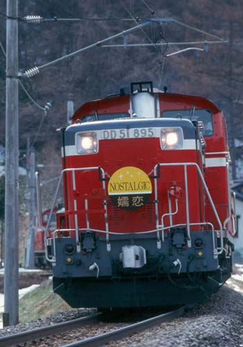 510895nosu