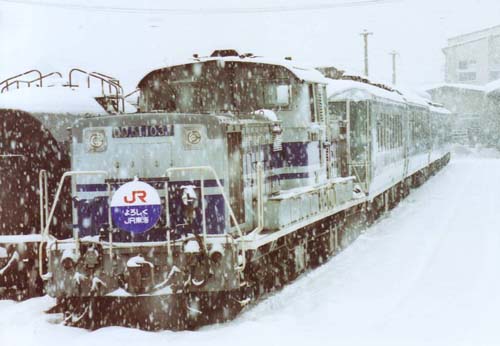 511037yorosiku