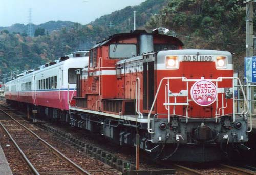 511109kani