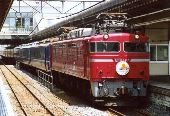 81097midori