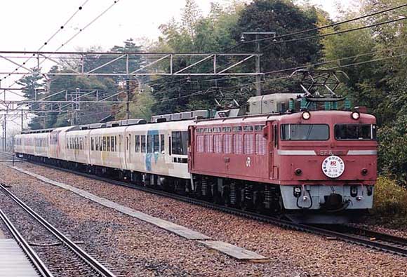 81101noto