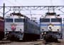 81303304sa