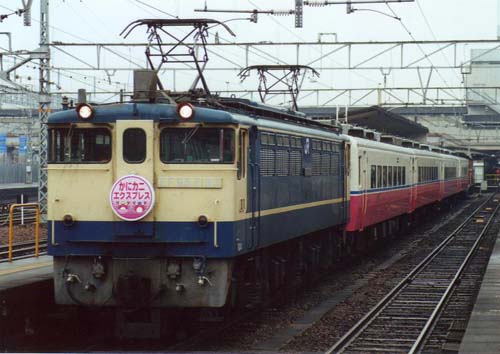 651033kani