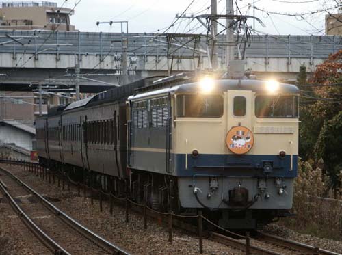 651129fukufu