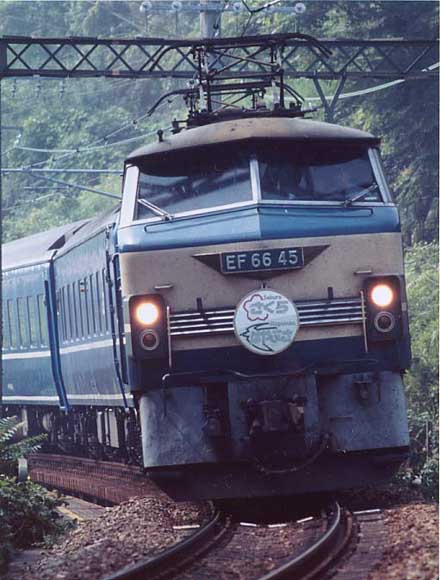 66045sakubu