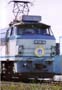 66038kamome