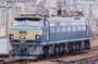 66041shi
